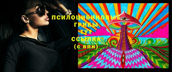 apvp Балахна