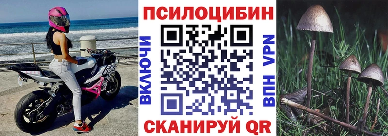ОМГ ОМГ ТОР  Вяземский  Галлюциногенные грибы мицелий  дарнет шоп 